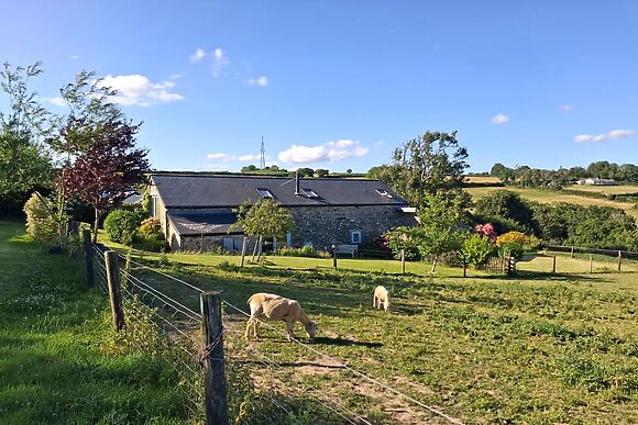 Owl Barn